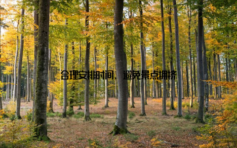 合理安排时间, 避免景点拥挤