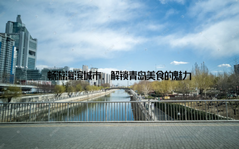 畅游海滨城市, 解锁青岛美食的魅力