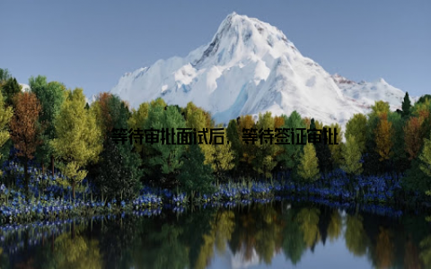 – 等待审批面试后, 等待签证审批