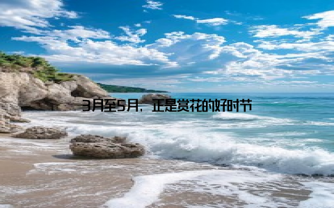 3月至5月, 正是赏花的好时节