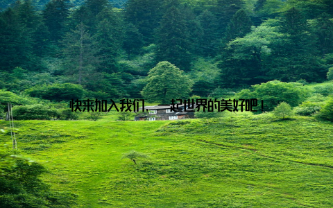 快来加入我们, 一起世界的美好吧!