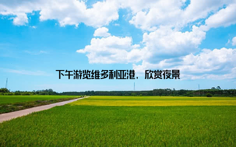 下午游览维多利亚港, 欣赏夜景
